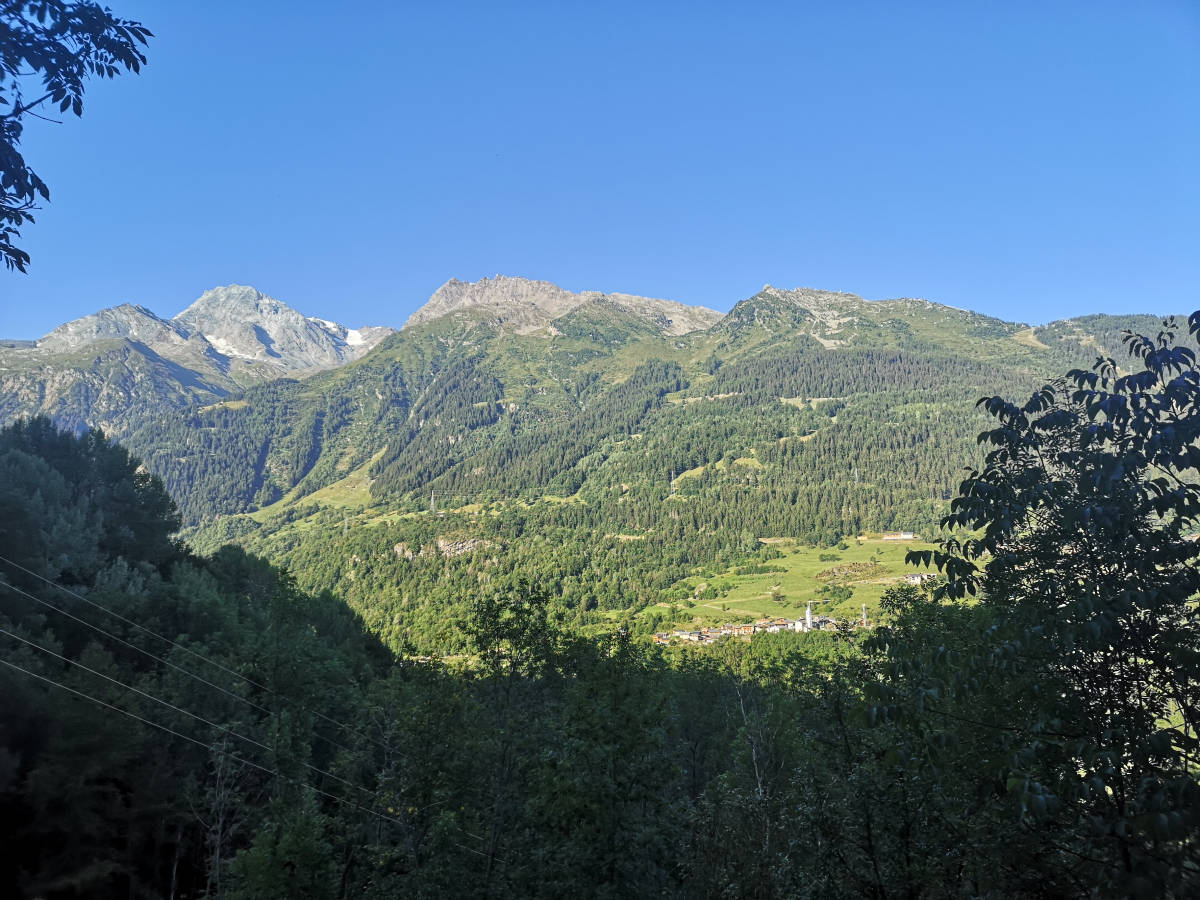 IMG_20260724_081630.jpg