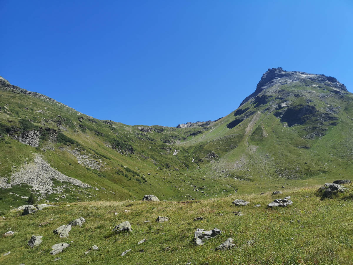 IMG_20260724_113135.jpg