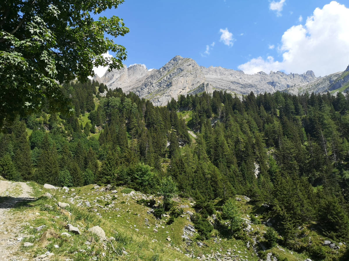 IMG_20260802_160004.jpg