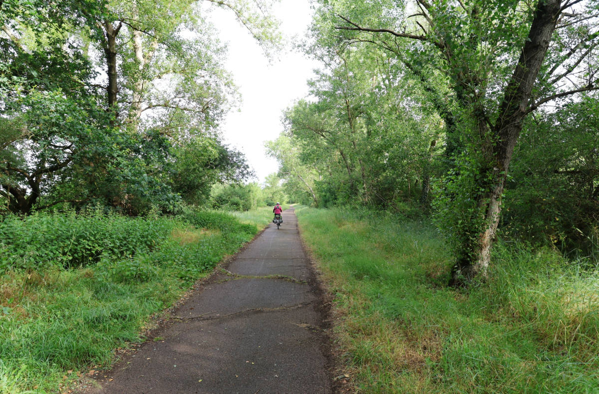 20260609094549_KH3A2462.jpg