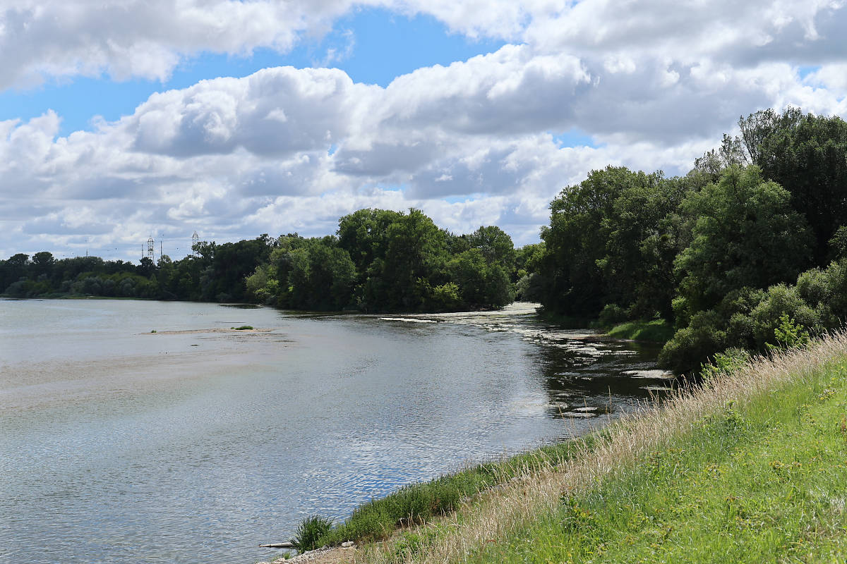 20260611113406_KH3A2531.jpg
